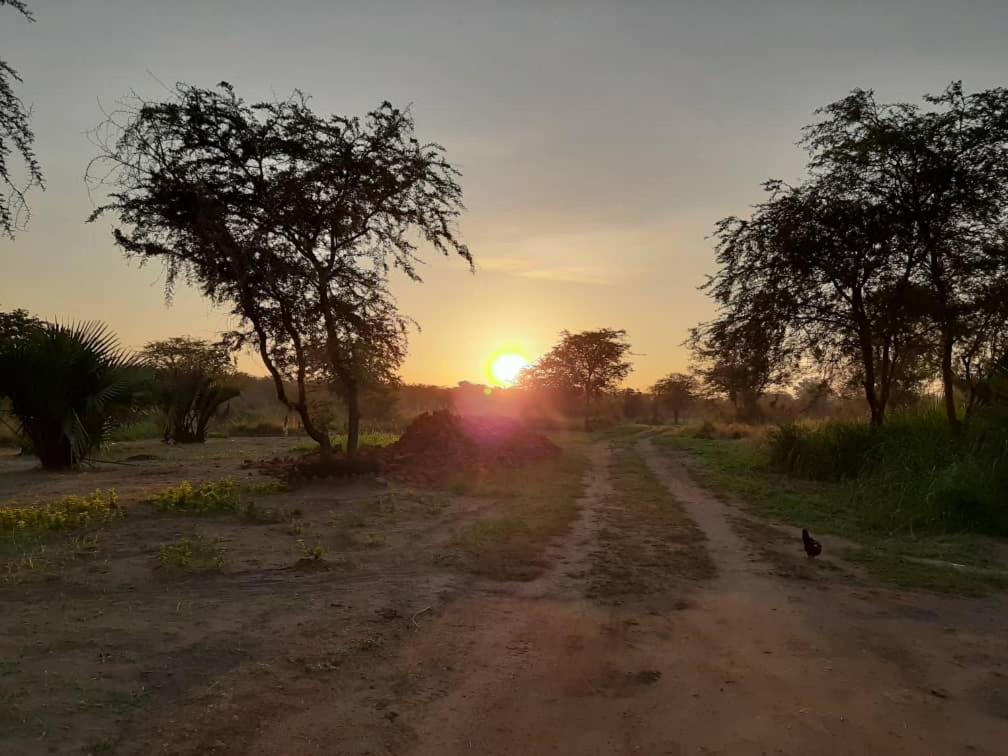 Tangi Safari Lodge Pakwach Zewnętrze zdjęcie